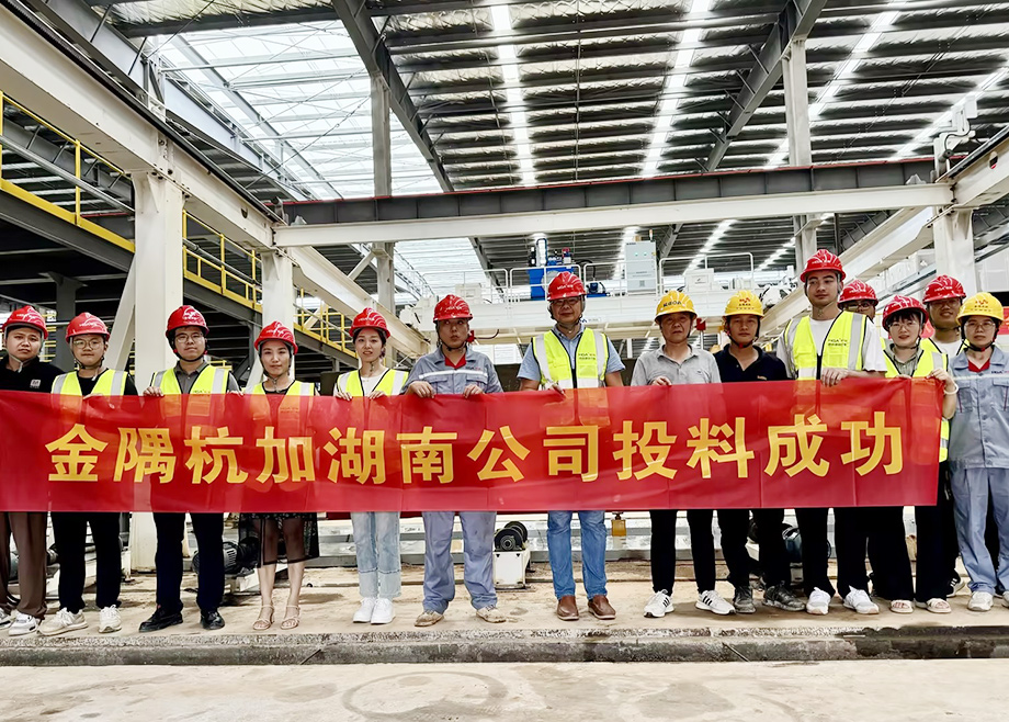 安徽恒行6机电助力金隅杭加湖南项目投料试产成功